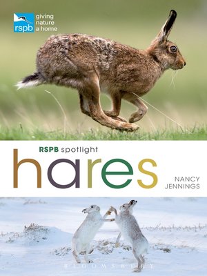 cover image of RSPB Spotlight Hares